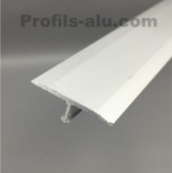 Profilé décoration Sol Alu Anodisé