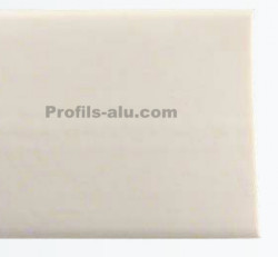 PROTECTION MURALE PVC 100X3